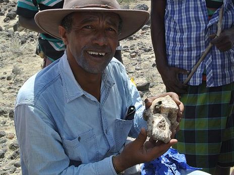 Найденный в Эфиопии череп австралопитека может опровергнуть теорию эволюции предков человека – ученые