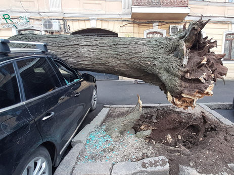 ﻿Негода в Одесі та Миколаєві: сотні повалених дерев, зірвані дахи, пошкоджені автомобілі. Фоторепортаж