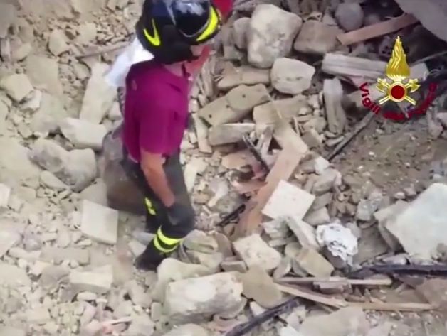 В Италии спасатели нашли кота, который выжил, проведя 16 дней под обломками после землетрясения. Видео
