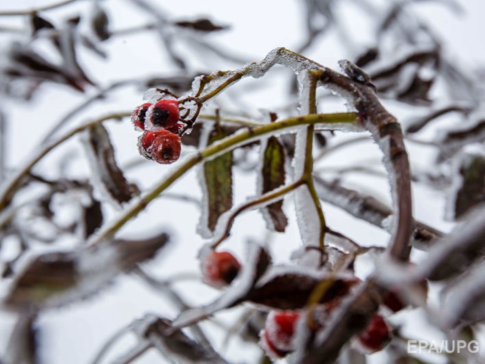 Укргидрометцентр: Зима в Украине будет относительно теплой