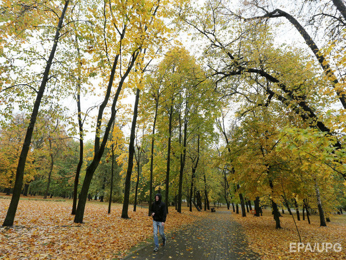 Укргидрометцентр: 24 октября в нескольких регионах страны ожидается штормовой ветер