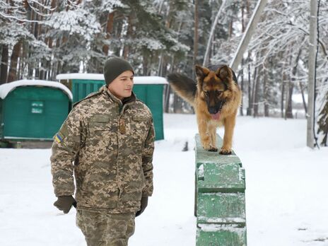 130 украинских кинологов сдали экзамен, они будут охранять границу. Фоторепортаж