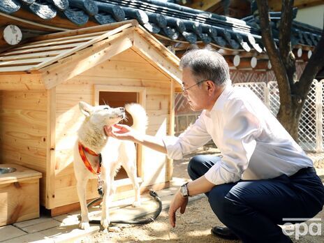 У Південній Кореї спалахнув скандал через подарованих главою КНДР собак