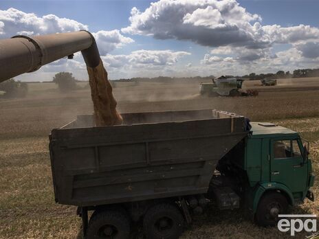 У Польщі заявили про припинення імпорту українського зерна щонайменше до липня