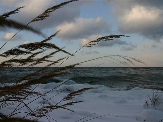 Украину 14-15 февраля ждет сильный ветер, порывы достигнут 20 м/с