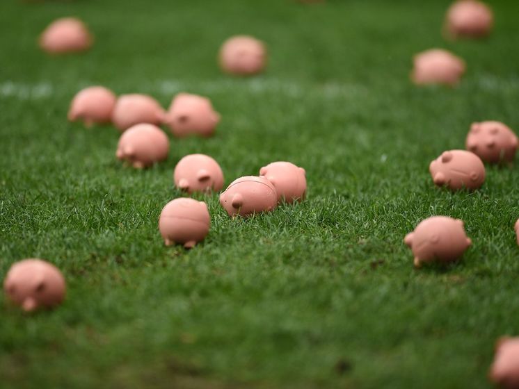 Британские болельщики забросали поле пластмассовыми свинками