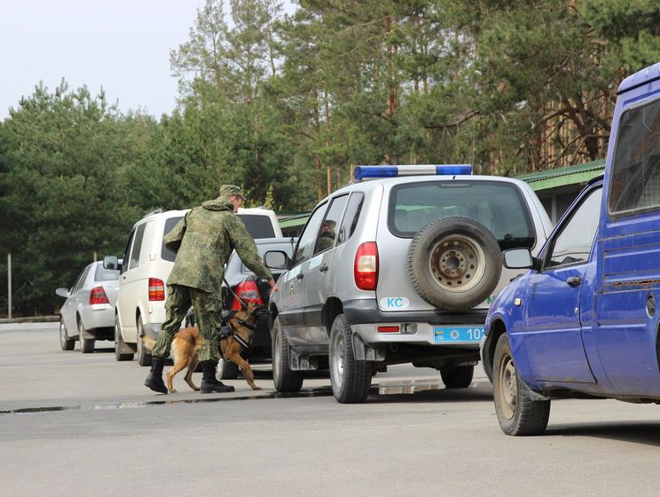  Накануне "Евровидения" полицейских собак протестировали на поиск взрывчатки