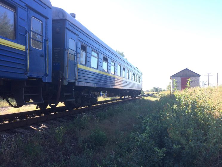 В Луганской области железнодорожное сообщение было прервано из-за дровосека – полиция