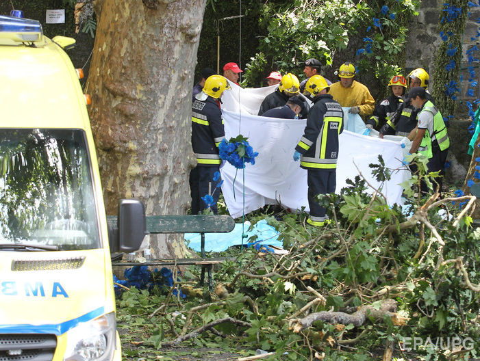 Огромное дерево рухнуло на головы участникам религиозного фестиваля в Португалии, 12 погибших