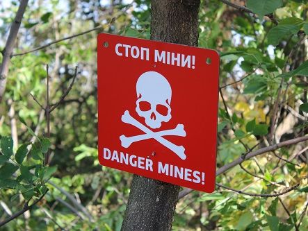 Миссия ОБСЕ сообщила о 89 жертвах минирования на Донбассе с начала года