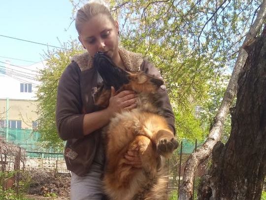 Полиция в Одессе задержала женщину, опубликовавшую видео с подвешиванием собаки на дереве