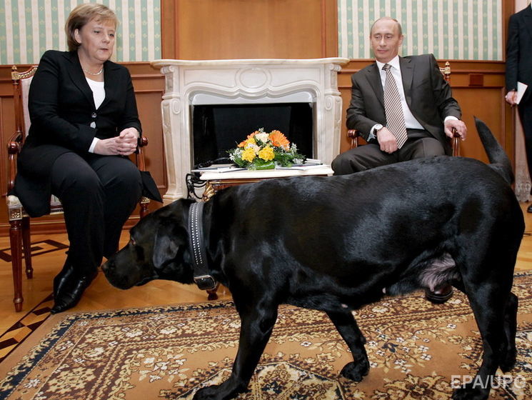 Немецкий Focus назвал Путина собакой, посольство РФ в Германии требует извинений