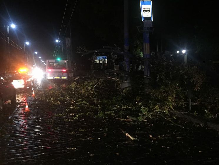 Внезапная буря в Черновцах: десятки поваленных деревьев, поврежденные автомобили и билборды