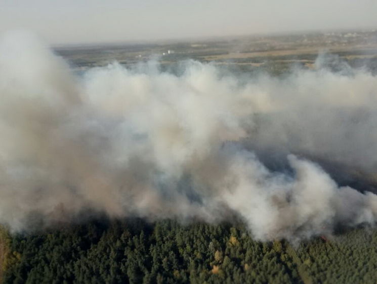 На востоке Украины до 25 сентября продержится высший уровень пожарной опасности – ГСЧС