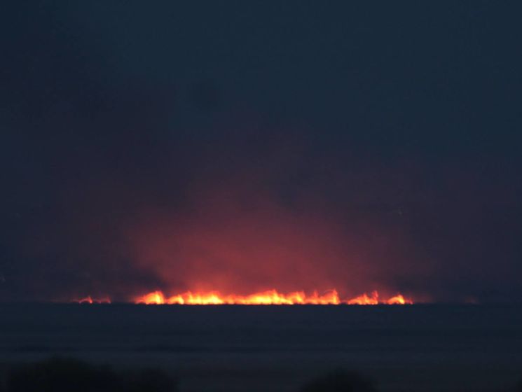 В Одесской области загорелся Нижнеднестровский национальный природный парк