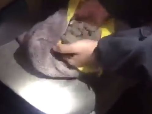 Украинец пытался провезти в Польшу партию янтаря, спрятанную в подушке &ndash; Госпогранслужба