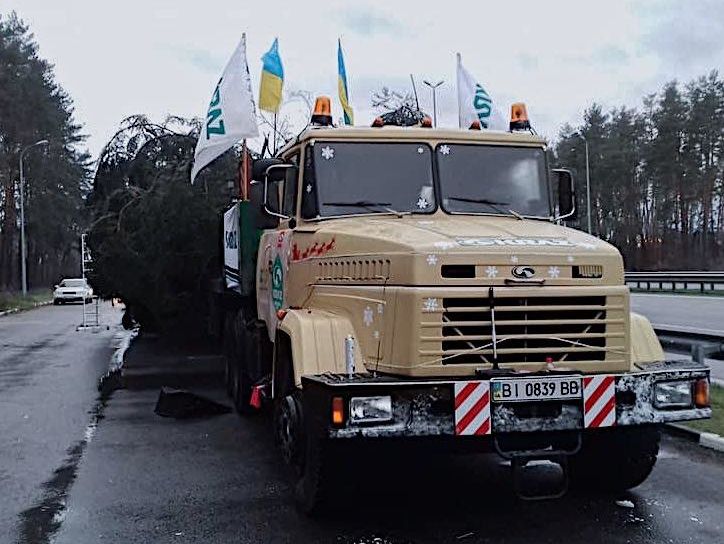 Прибытие главной елки страны в Киев задерживается