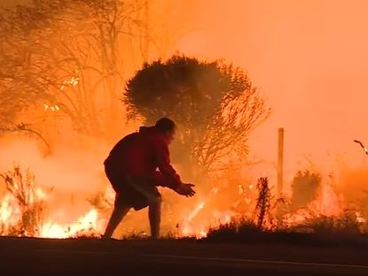 ﻿Лісові пожежі в Каліфорнії: чоловік урятував із вогню кролика. Відео