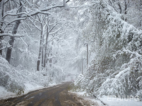 Метели и снежные заносы: ГСЧС предупредила о непогоде в Украине 21–23 января