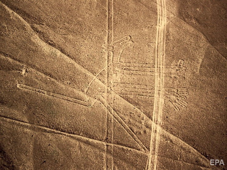 Вчені виявили на плато Наска в Перу нові геогліфи