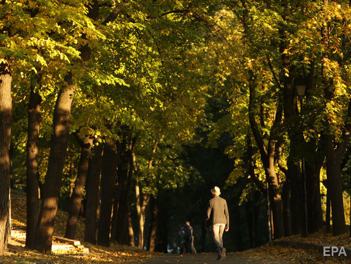 Кабмін України пропонує дозволити біопоховання в парках