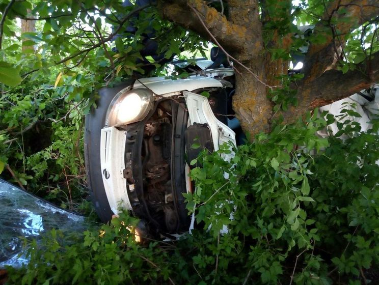 В Николаевской области микроавтобус столкнулся с деревом, в результате пять человек погибли, трое получили травмы