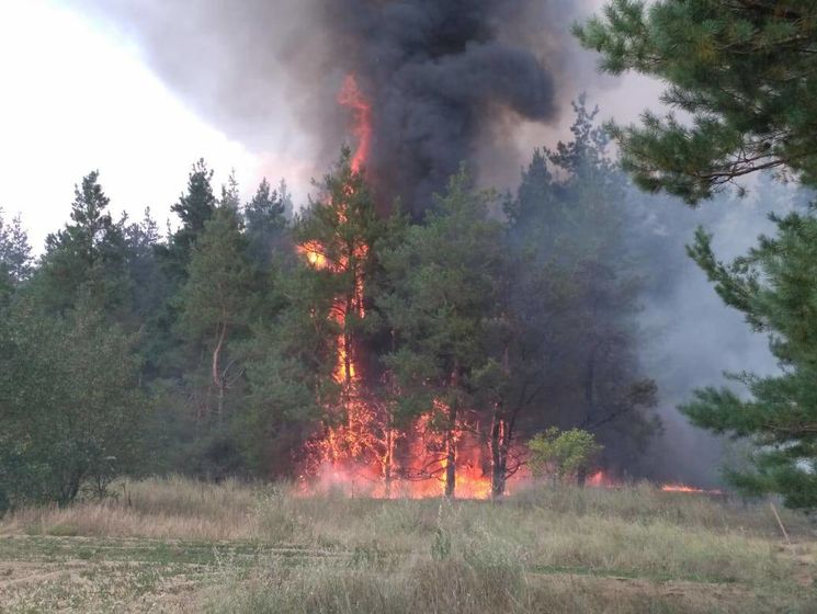 На площади 3 га в Николаевской области горит лес