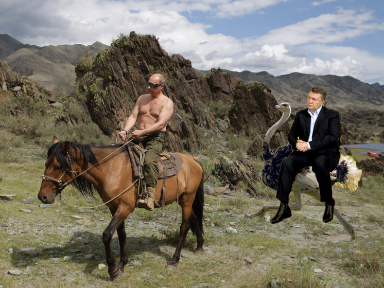 Янукович и страусы. Реакция соцсетей на интервью беглого экс-президента