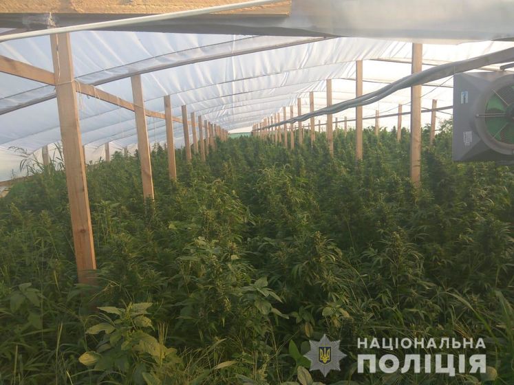 Полиция в Запорожской области изъяла наркотиков на 70 млн грн