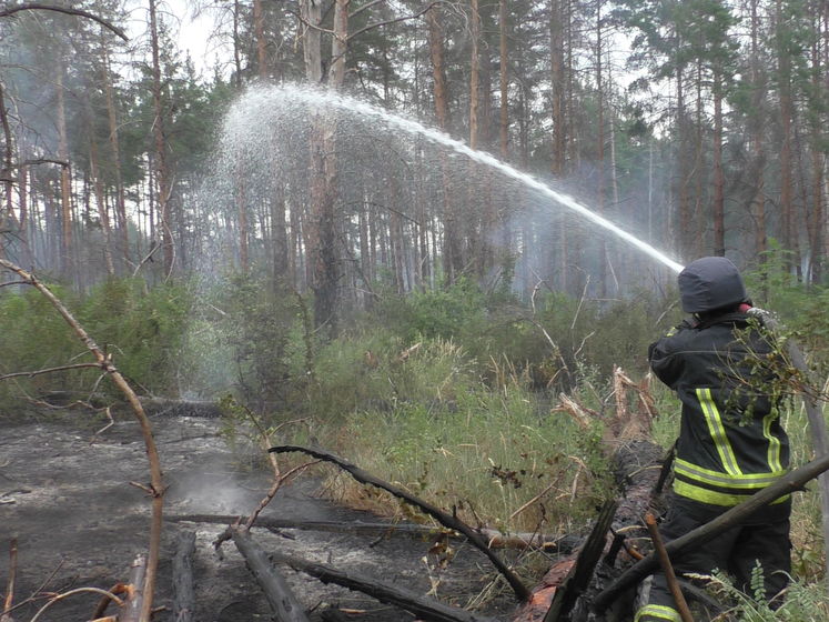 ﻿Пожежу в замінованому лісі біля Станиці Луганської ліквідовано – ДСНС