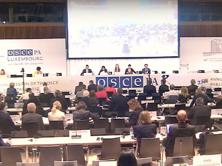 Комитет ассамблеи ОБСЕ поддержал резолюцию об оккупации Россией части Грузии