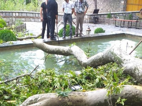 В Азербайджане упавшая ветка дерева травмировала 19 туристов