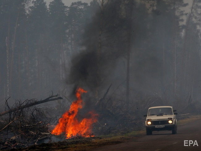 Greenpeace: Ситуация с лесными пожарами в РФ превратилась в экологическую катастрофу