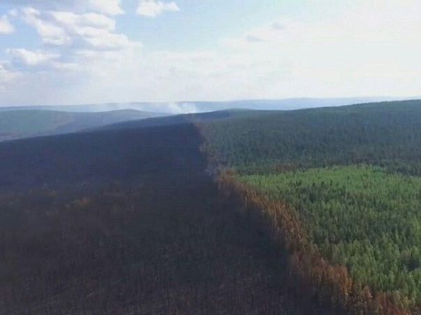 ﻿Дим від лісових пожеж у Сибіру досяг Аляски й Канади