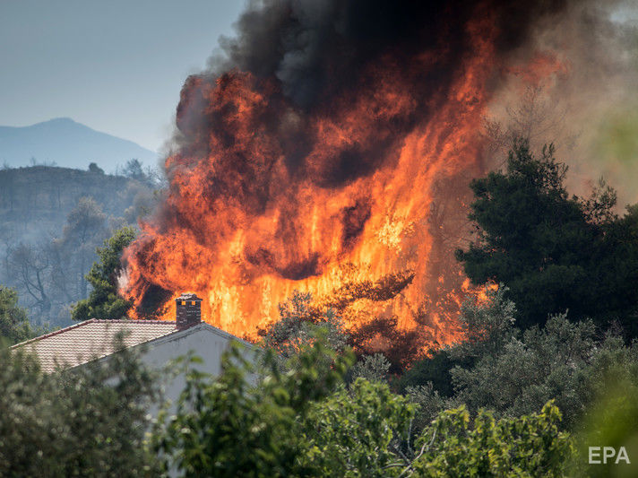 В Турции бушуют лесные пожары