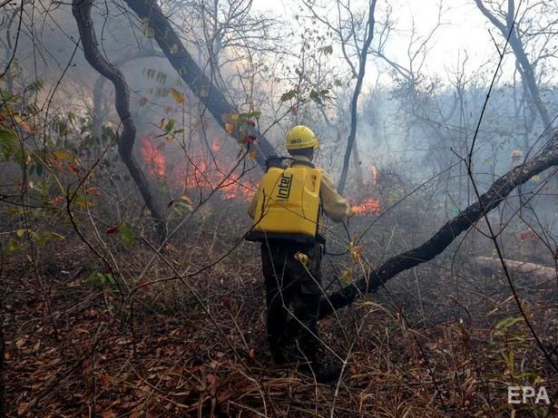В Боливии сгорели 1,7 млн га леса