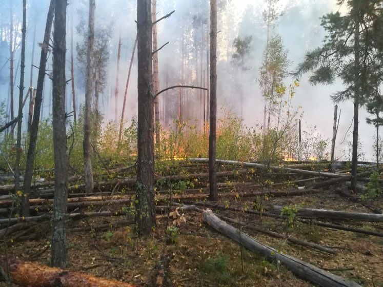 ﻿Лісову пожежу поруч із Чорнобильською зоною локалізували 