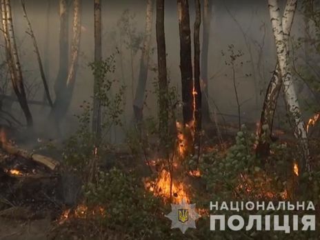 ﻿Поліція встановила особу ймовірної підозрюваної в підпалі трави в Київській області, який призвів до пожежі в Чорнобильській зоні