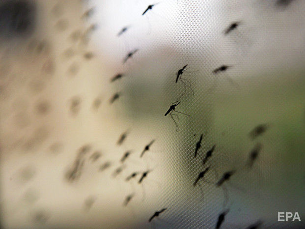 ﻿У Запоріжжі зафіксували два випадки малярії