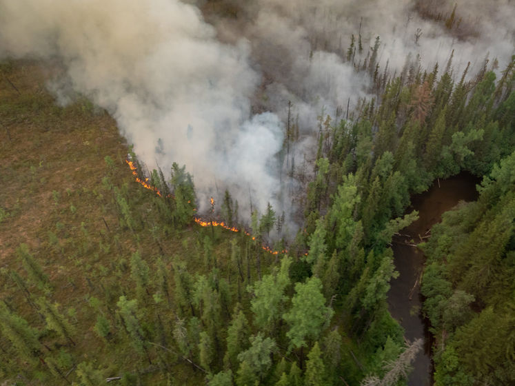 ﻿У РФ заявили, що загасили останню лісову пожежу