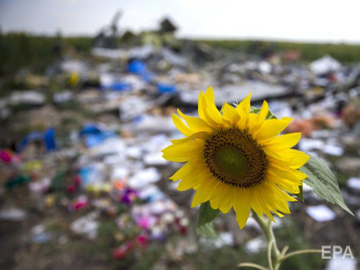 Глава МИД Нидерландов пояснил, как его страна будет расследовать роль Украины в катастрофе MH17