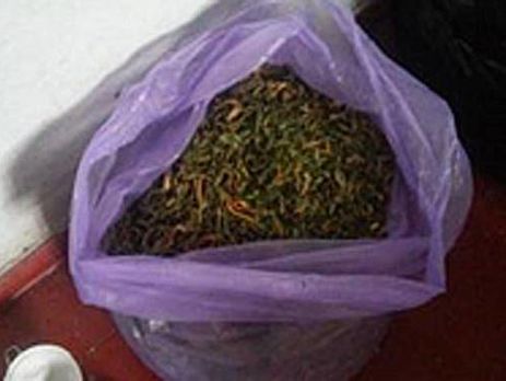 Полиция изъяла более 200 кг марихуаны в Днепропетровской области