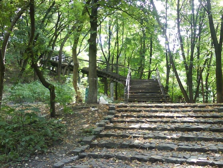 В Киеве приостановили реконструкцию на Пейзажной аллее из-за находки каменной лестницы XVI века