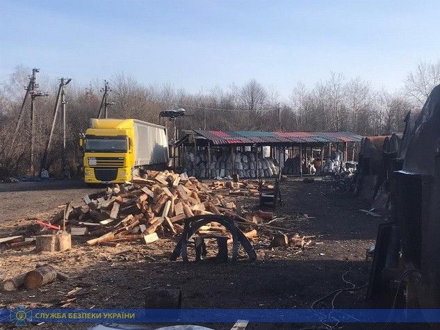 В Житомирской области разоблачили схему незаконного экспорта древесины на 14 млн грн – СБУ