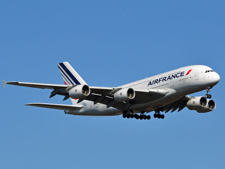 Рейс авиакомпании Air France был отложен из-за мыши на борту самолета