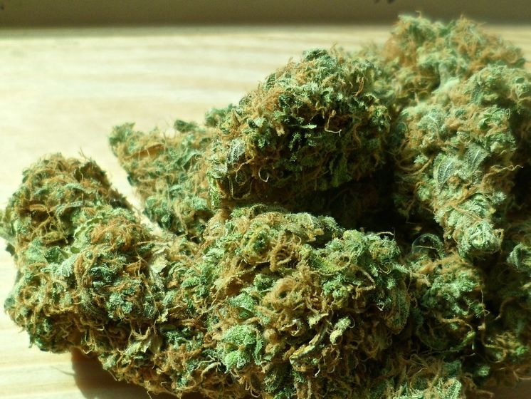 ﻿У США 11-й штат легалізував рекреаційне вживання марихуани