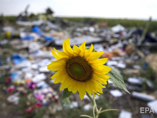 ﻿Держкіно України профінансує документальний фільм про катастрофу MH17
