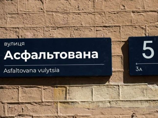 В Киеве зарегистрировали петицию о переименовании улицы Пушкинской в Асфальтированную