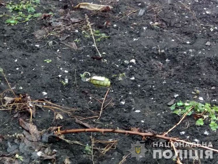 В Донецкой области неизвестный бросил гранаты во двор, где находился мужчина и его восьмилетний сын