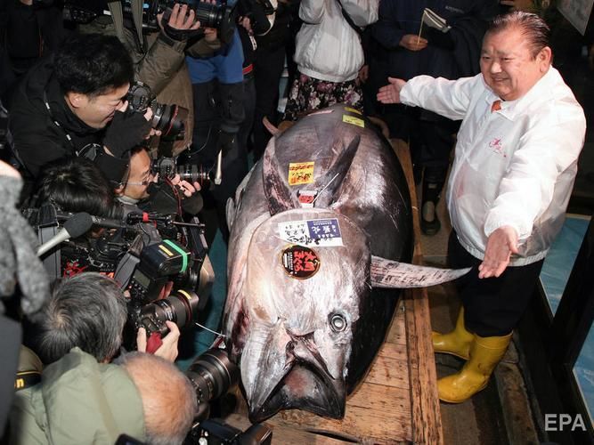 В Японии на аукционе продали тунца за $1,8 млн